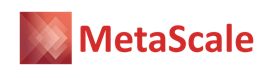 Metascale