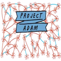 Project_Adam