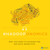 Hadooponomics_Album-Cover